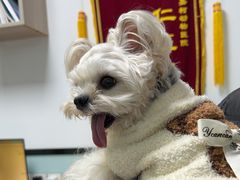 -嘉馨宠物医院·CT影像转诊·心脏科·犬猫全科诊疗中心(下沙大学城院区)