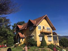 -黄色小屋