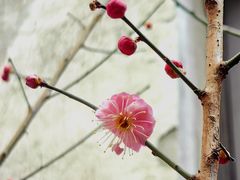 -钱钟书故居