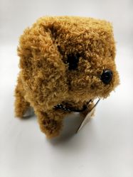 -开心哈乐亲子乐园(东森时尚百货店)