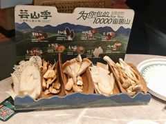 -芸山季·云南野生菌火锅(宝能环球汇店)