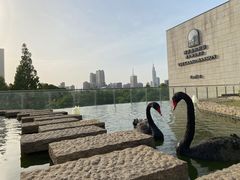 -行者书屋大堂吧 ·下午茶(南京圣和府邸酒店)