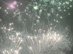 -南宁花花大世界景区