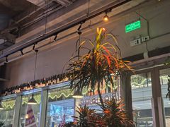 -Blac+Blac(中海环宇荟店)