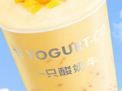 -一只酸奶牛(春熙路店)