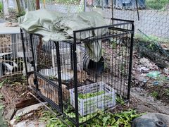 -马陆小张葡萄园农家乐