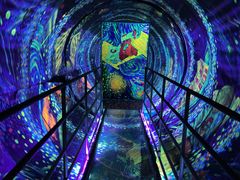 -上海梵高星空艺术馆(南京路旗舰店)