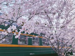 -新天地活力PARK