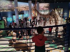 -国家自然博物馆