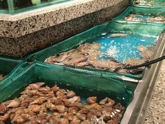 -初色海鲜自助(万丰路店)