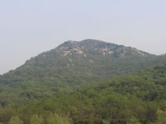 -鲁山国家森林公园