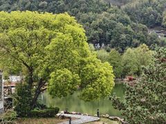 -明月山天沐温泉度假村