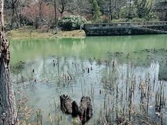 -苏州东太湖生态园