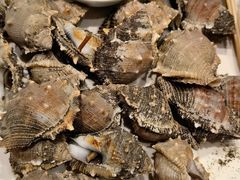 -大东海海鲜酒楼(渔人码头总店)