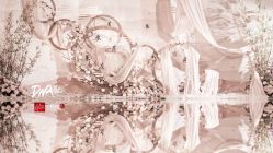 -DNA Wedding 婚礼记(上海店)