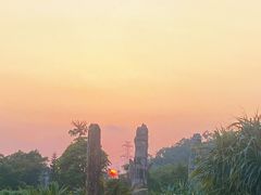 -深圳仙湖植物园