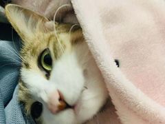 -麦当劳(坂田分店)