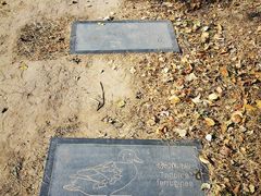 -野鸭湖国家湿地公园