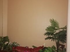 -黄金海岸水疗会所(凯利宾馆店)