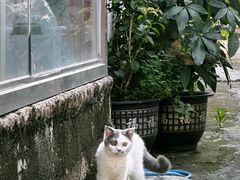 -三溪村