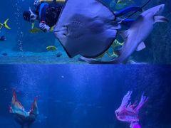 -左海海底世界