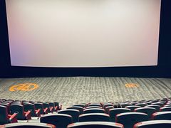 -上影国际影城(普陀绿地缤纷城店)