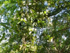 -敬亭山风景名胜区