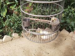 -南宫五洲植物乐园