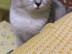-联合动物医院(光谷诊疗中心)