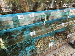 -晓伟海鲜家常菜