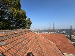 -上海佘山国家森林公园西佘山园