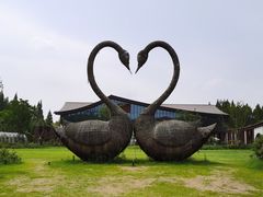 -东平国家森林公园