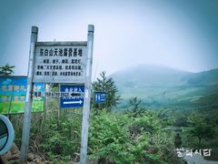 -东白山