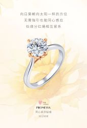 -周生生Chow Sang Sang(石家庄先天下店)