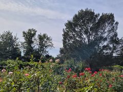 -国家植物园南园