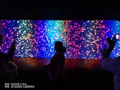 -成都浩海立方海洋公园