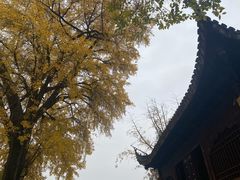 -苏州上方山国家森林公园