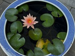 -西安市广仁寺