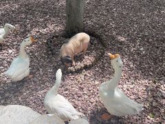 -北京野生动物园