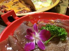 -小龙坎火锅(总店)