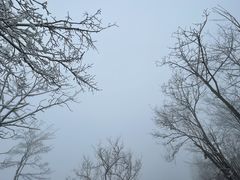 -九皇山景区