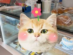 -BreadTalk面包新语·烘焙蛋糕(海岸城店)