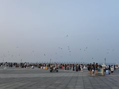 -东港音乐喷泉广场