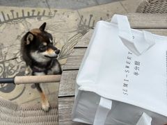 -半分甜(台柳路店)