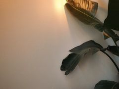 -不正咖啡(万达尊店)