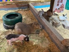 -顺德南宏海立方海洋公园