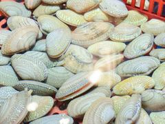 -巽寮印象美食部落餐厅·海鲜·地方特色菜(惠州体验店)