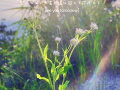 -玻璃桥景区石牛寨