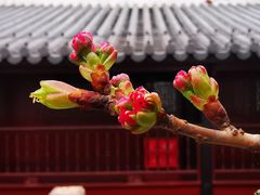 -文昌阁
