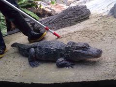 river&nbsp;safari-河川生态园